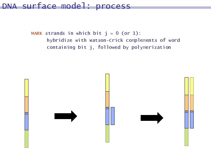 DNA surface model: process MARK strands in which bit j = 0 (or 1):