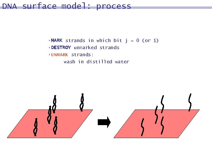 DNA surface model: process 8 MARK strands in which bit j = 0 (or