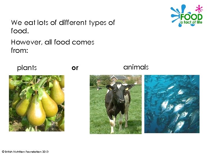 We eat lots of different types of food. However, all food comes from: plants