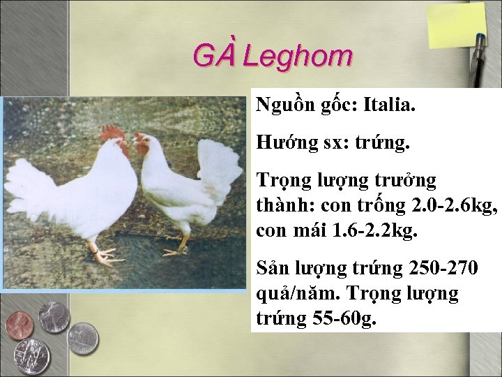 GÀ Leghom Nguồn gốc: Italia. Hướng sx: trứng. Trọng lượng trưởng thành: con trống