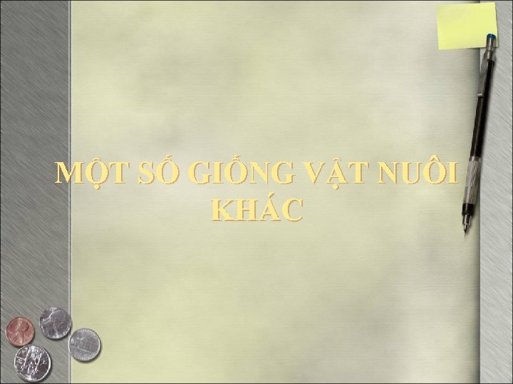 MỘT SỐ GIỐNG VẬT NUÔI KHÁC 