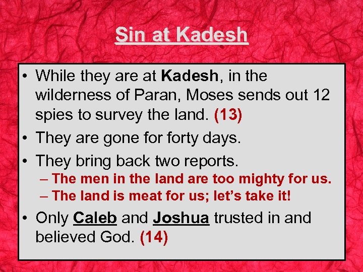 Sin at Kadesh • While they are at Kadesh, in the wilderness of Paran,