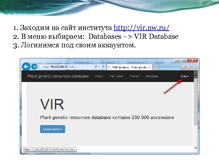 1. Заходим на сайт института http: //vir. nw. ru/ 2. В меню выбираем: Databases