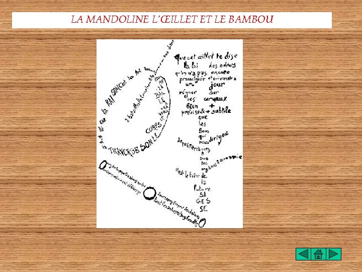 LA MANDOLINE L’ŒILLET ET LE BAMBOU 