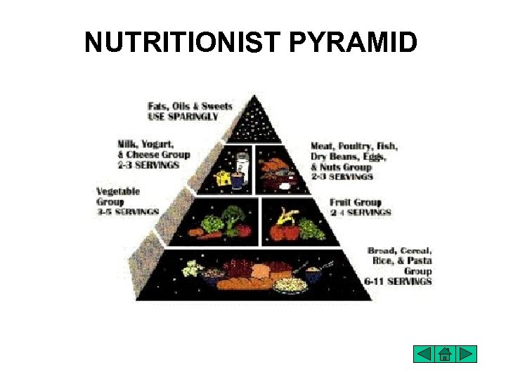 NUTRITIONIST PYRAMID 
