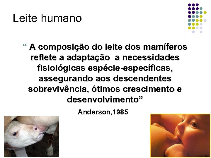 Leite humano “ A composição do leite dos mamíferos reflete a adaptação a necessidades