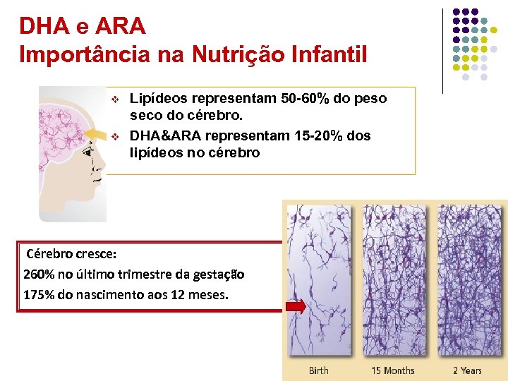 DHA e ARA Importância na Nutrição Infantil v v Lipídeos representam 50 -60% do