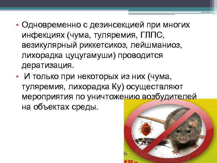  • Одновременно с дезинсекцией при многих инфекциях (чума, туляремия, ГЛПС, везикулярный риккетсикоз, лейшманиоз,