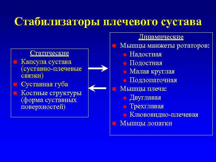 Стабилизаторы плечевого сустава n n n Статические Капсула сустава (суставно-плечевые связки) Суставная губа Костные
