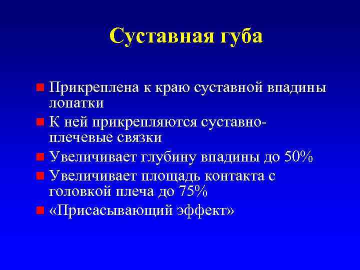 Суставная губа n Прикреплена к краю суставной впадины лопатки n К ней прикрепляются суставноплечевые