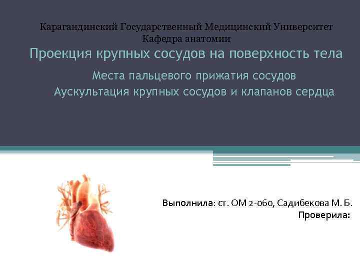 Карагандинский Государственный Медицинский Университет Кафедра анатомии Проекция крупных сосудов на поверхность тела Места пальцевого