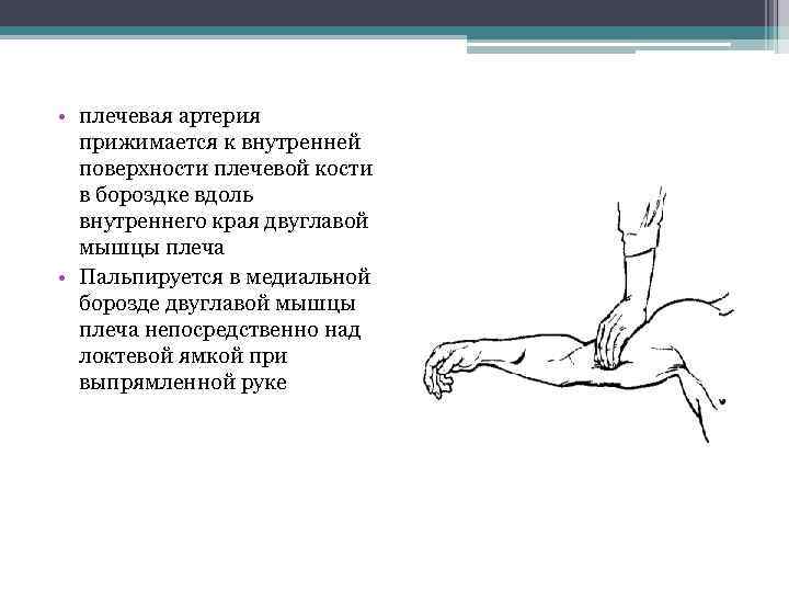 Аплодировать шпионаж распропагандировать плечо. Проекционная линия плечевой артерии. Плечевая артерия прижимается.