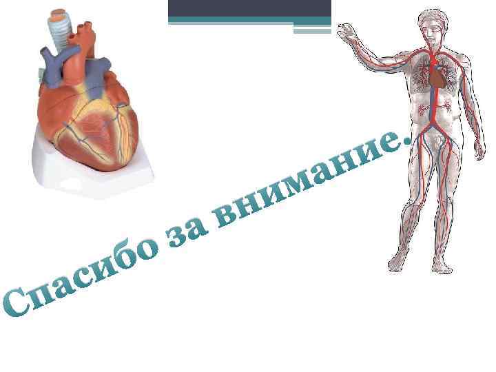 е. и и н С ас п б и в за о ан м