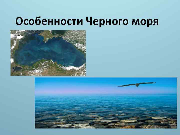 Особенности Черного моря 