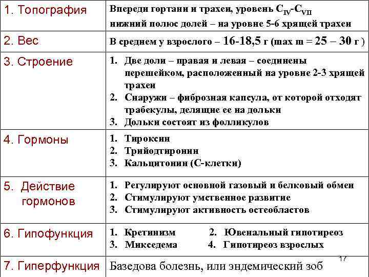 1. Топография Впереди гортани и трахеи, уровень СIV-CVII нижний полюс долей – на уровне