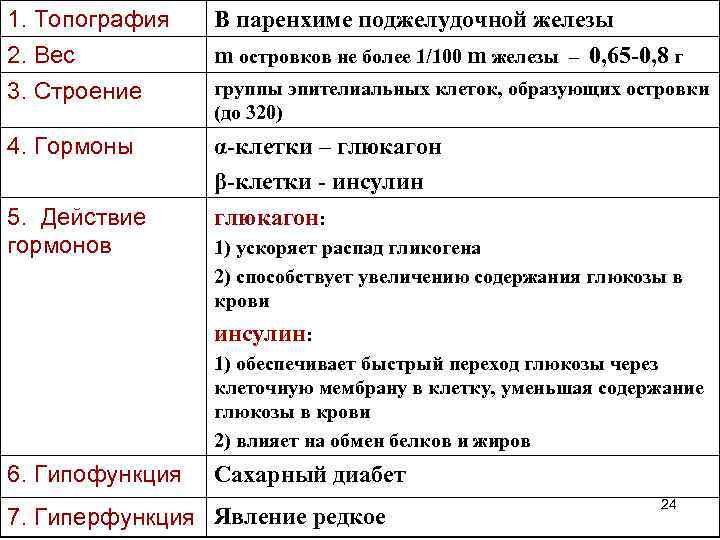 1. Топография 2. Вес 3. Строение В паренхиме поджелудочной железы m островков не более
