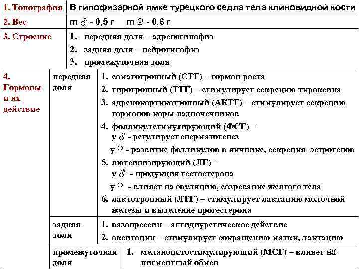 1. Топография В гипофизарной ямке турецкого седла тела клиновидной кости 2. Вес m ♂