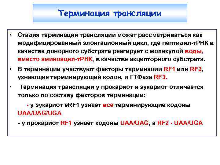 Терминация трансляции • Стадия терминации трансляции может рассматриваться как модифицированный элонгационный цикл, где пептидил-т.