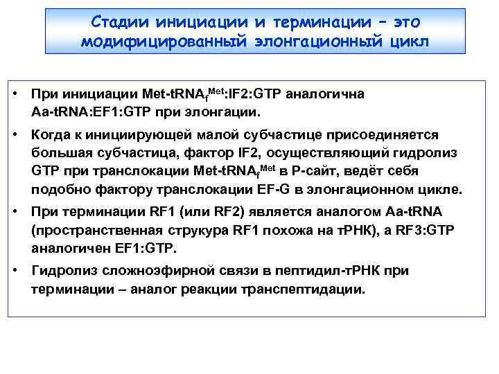 Стадии инициации и терминации – это модифицированный элонгационный цикл • При инициации Met-t. RNAf.