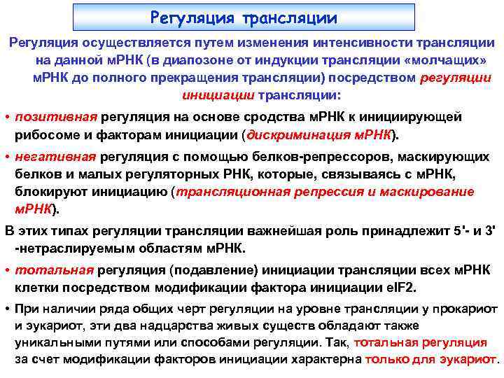 Регуляция трансляции Регуляция осуществляется путем изменения интенсивности трансляции на данной м. РНК (в диапозоне