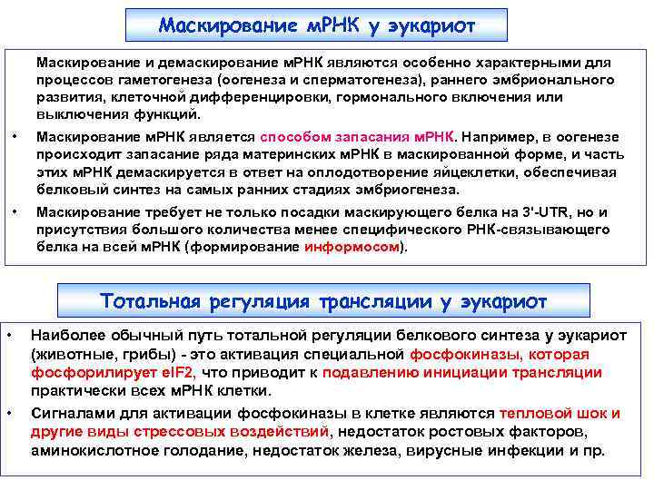 Маскирование м. РНК у эукариот Маскирование и демаскирование м. РНК являются особенно характерными для