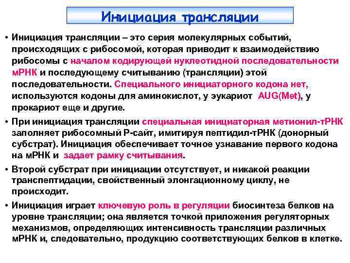 Инициация трансляции • Инициация трансляции – это серия молекулярных событий, происходящих с рибосомой, которая