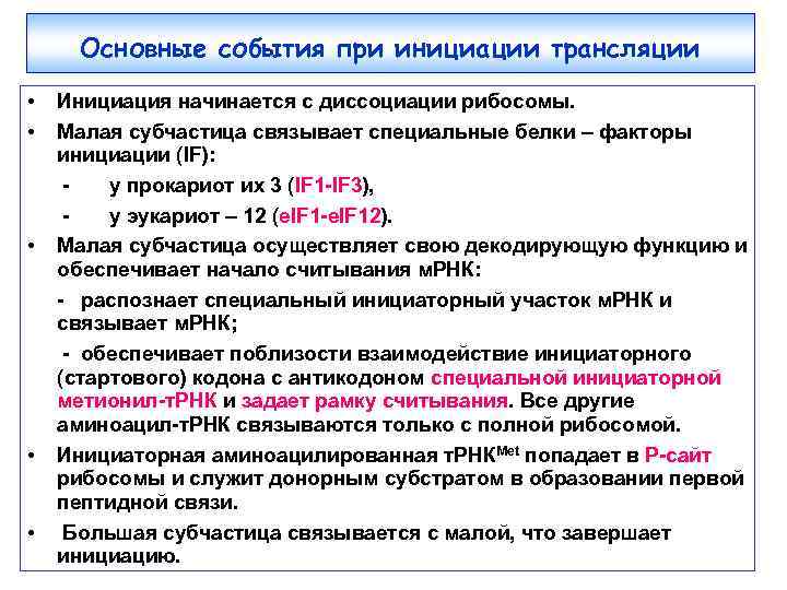 Основные события при инициации трансляции • • Инициация начинается с диссоциации рибосомы. Малая субчастица