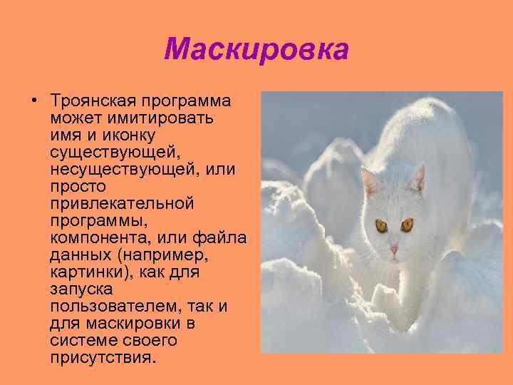 Маскировка • Троянская программа может имитировать имя и иконку существующей, несуществующей, или просто привлекательной