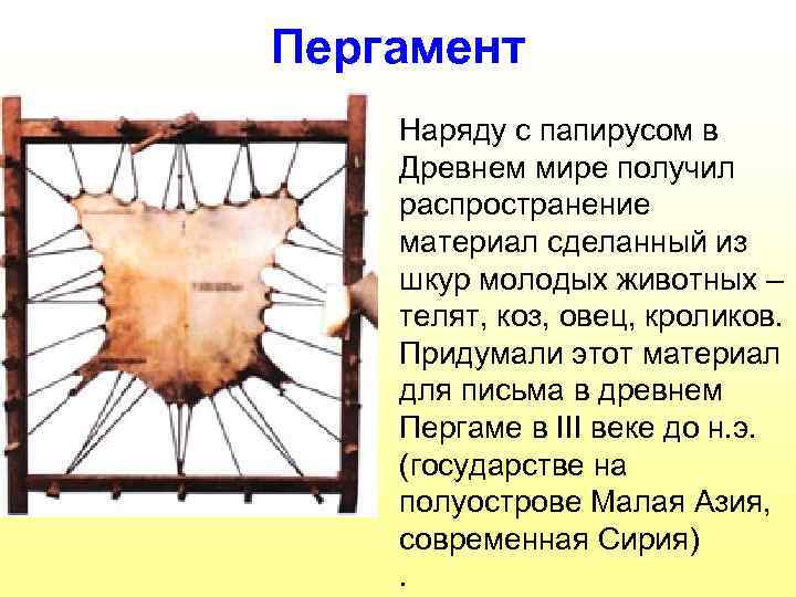 Пергамент Наряду с папирусом в Древнем мире получил распространение материал сделанный из шкур молодых