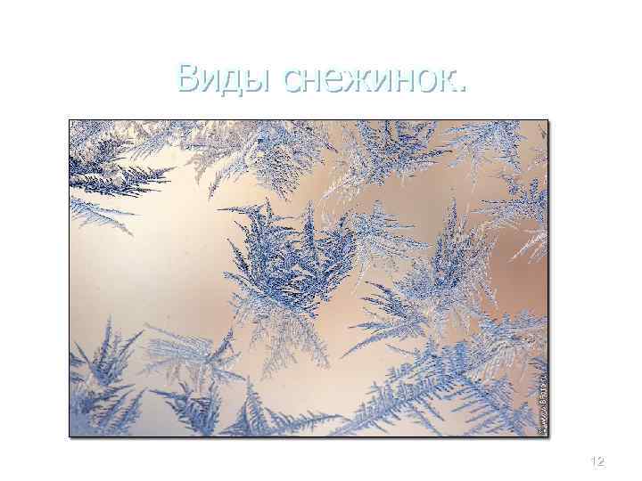 Виды снежинок. 12 