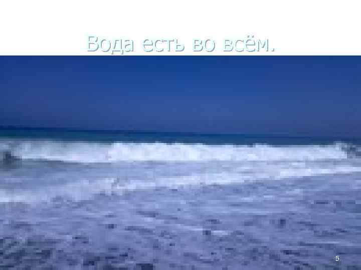 Вода есть во всём. 5 