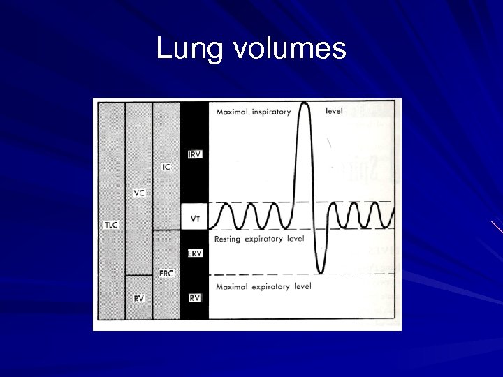 Lung volumes 