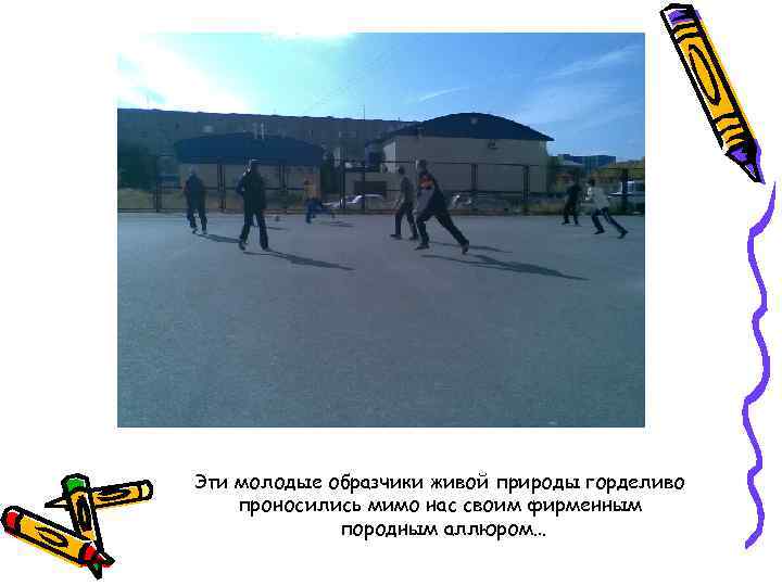 Эти молодые образчики живой природы горделиво проносились мимо нас своим фирменным породным аллюром… 