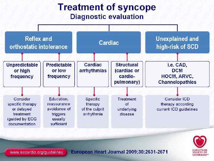 www. escardio. org/guidelines 