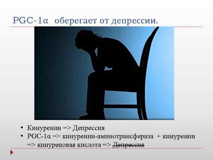 PGC-1α оберегает от депрессии. • Кинуренин => Депрессия • PGC-1α => кинуренин-аминотрансфераза + кинуренин