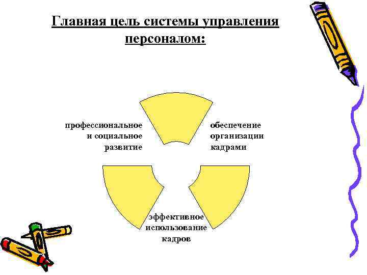 Главная цель системы управления персоналом: профессиональное и социальное развитие обеспечение организации кадрами эффективное использование
