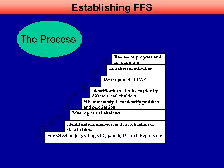 Establishing FFS The Process Review of progress and re -planning Initiation of activities Development