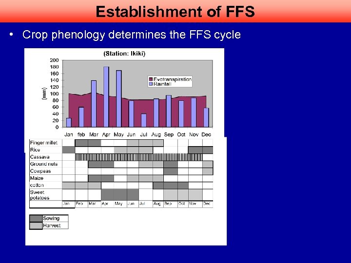 Establishment of FFS • Crop phenology determines the FFS cycle 
