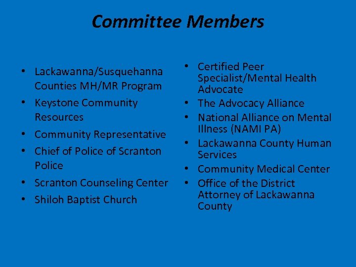 Committee Members • Lackawanna/Susquehanna Counties MH/MR Program • Keystone Community Resources • Community Representative