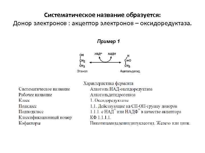 Систематическое название. Доноры электронов акцепторы электронов. Доноры электронов акцепторы электронов таблица. Систематическое название оксидоредуктаз. Акцептор или донор таблица.