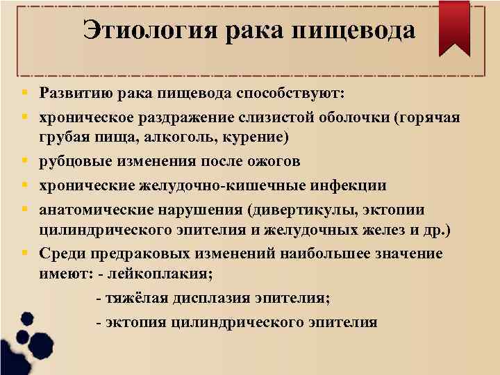 Этиология рака пищевода Развитию рака пищевода способствуют: хроническое раздражение слизистой оболочки (горячая грубая пища,