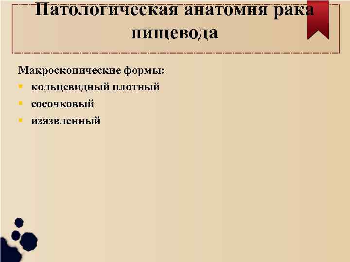 Патологическая анатомия рака пищевода Макроскопические формы: кольцевидный плотный сосочковый изязвленный 