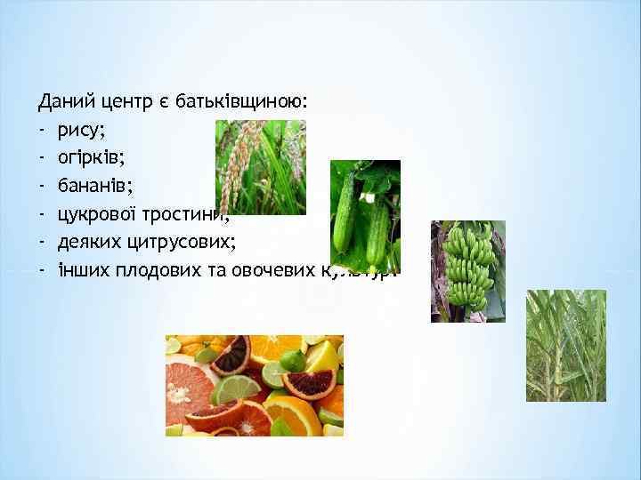 Даний центр є батьківщиною: - рису; - огірків; - бананів; - цукрової тростини; -