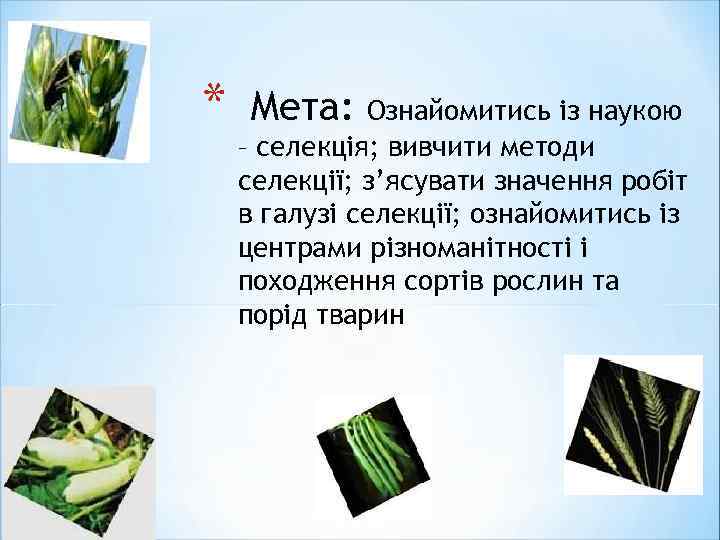 * Мета: Ознайомитись із наукою – селекція; вивчити методи селекції; з’ясувати значення робіт в