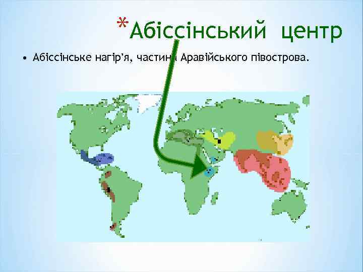 *Абіссінський центр • Абіссінське нагір’я, частина Аравійського півострова. 