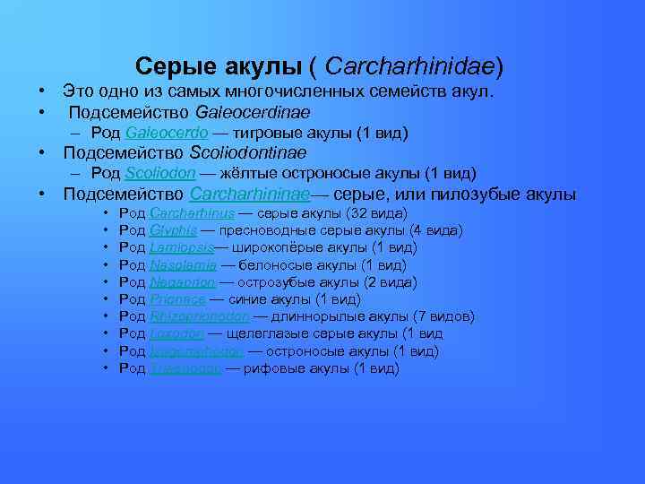 Серые акулы ( Carcharhinidae) • Это одно из самых многочисленных семейств акул. • Подсемейство