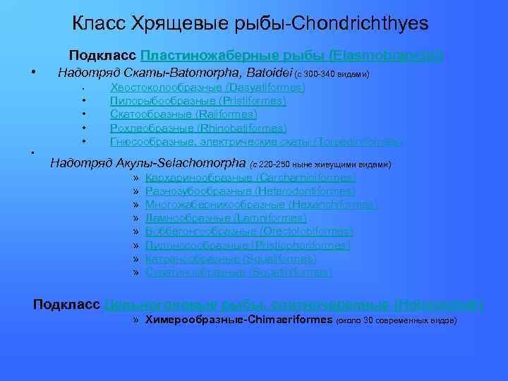 Класс Хрящевые рыбы-Сhondrichthyes Подкласс Пластиножаберные рыбы (Elasmobranchii) • Надотряд Скаты-Batomorpha, Batoidei (с 300 -340