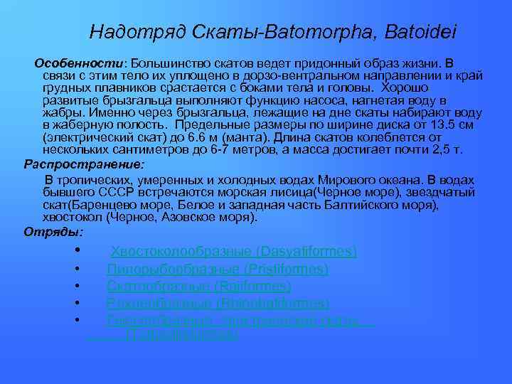 Надотряд Скаты-Batomorpha, Batoidei Особенности: Большинство скатов ведет придонный образ жизни. В связи с этим