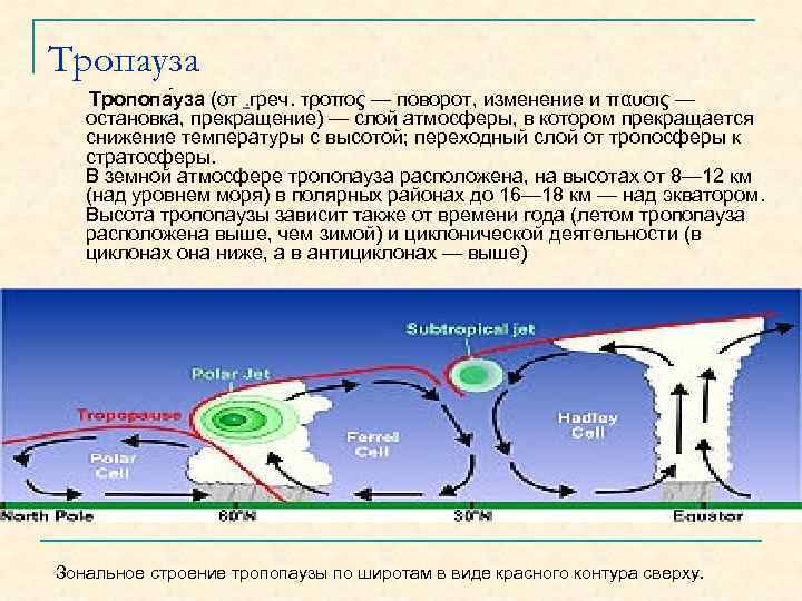 Тропауза Тропопа уза (от. греч. τροπος — поворот, изменение и παυσις — остановка, прекращение)