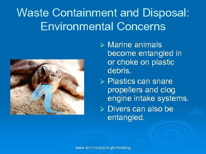 Waste Containment and Disposal: Environmental Concerns Marine animals become entangled in or choke on